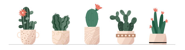 时髦的室内植物收集可爱的仙人掌在花盆包装图标。套迷你仙人掌肉质植物红花插图。图片下载