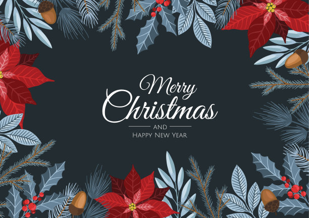 圣诞快乐和新年贺卡与冬季植物设计插图问候，邀请，传单，小册子图片下载