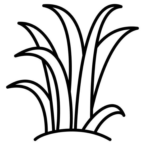 沼泽里的高草。长着细长叶子的灌木。用于景观设计的植物。矢量图标，轮廓，孤立。图片下载