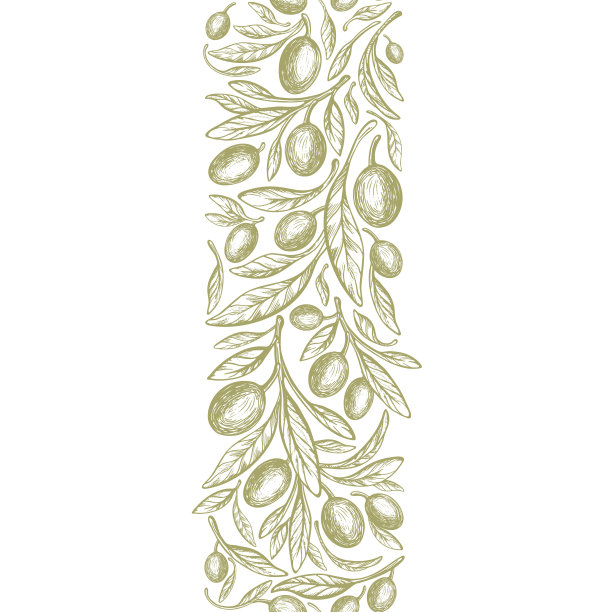 橄榄垂直条形向量边框，纹理分支图片下载