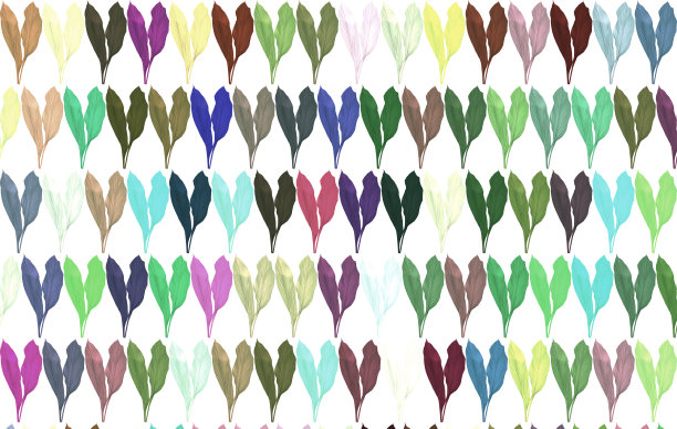 姜黄绿叶图片下载