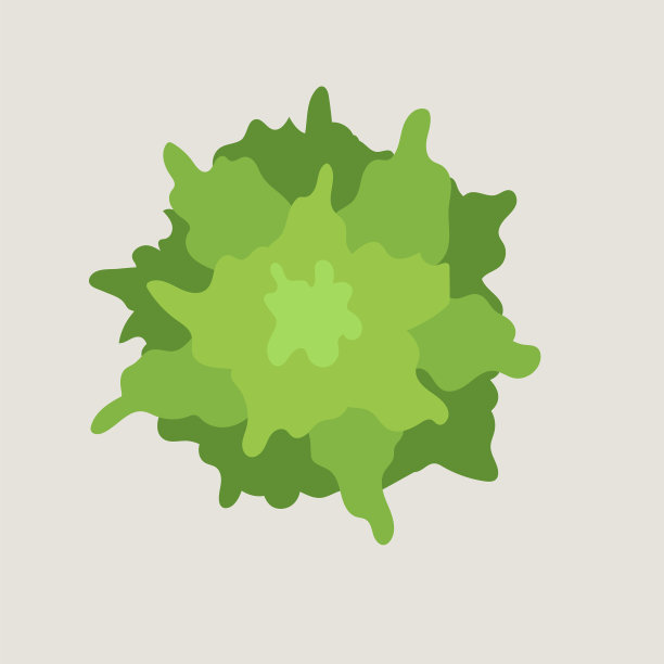 树冠平面设计图片下载