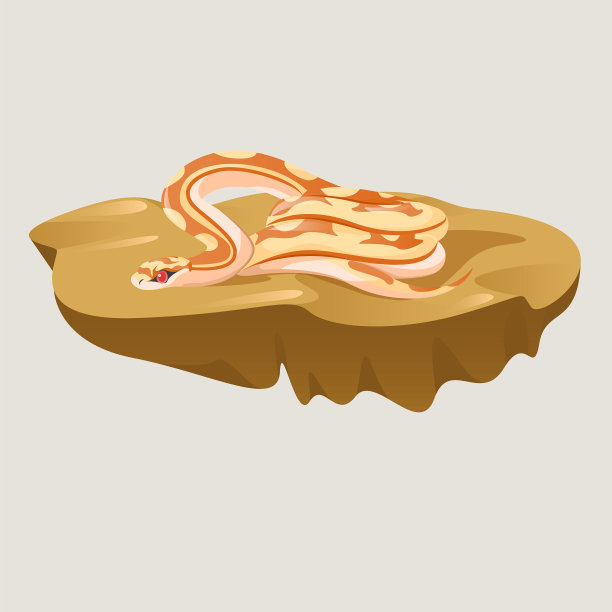 蛇属热带毒蛇，树上地面平面设计图片下载