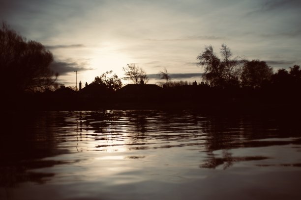 湖上的天鹅图片下载