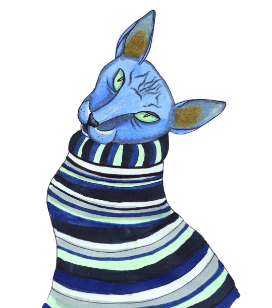 斯芬克斯猫穿着舒适的条纹毛衣。图片下载