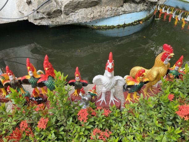 自然花园中的鸡雕像图片下载