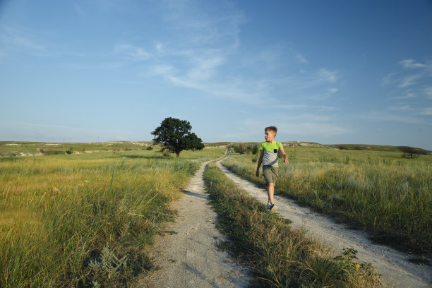 男孩走在田野和小山之间，用手指着远处的天空图片下载