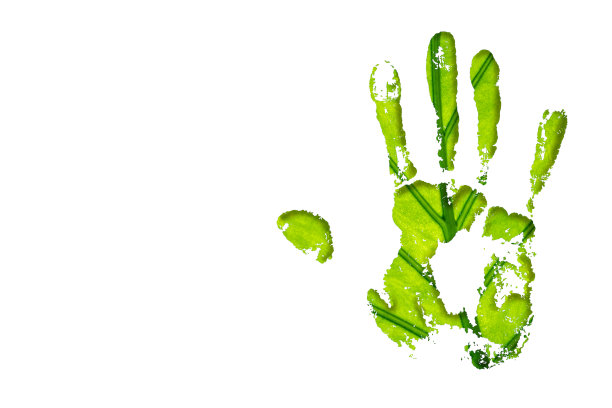 让我们保护大自然图片下载