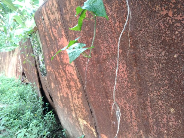 旧的栅栏图片下载