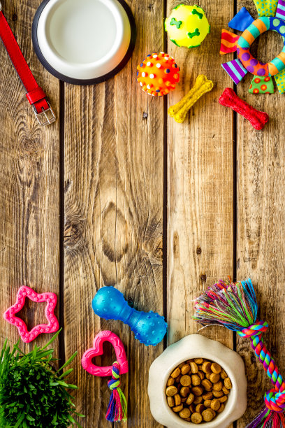 宠物配件与狗和猫的食物和玩具，俯视图图片下载