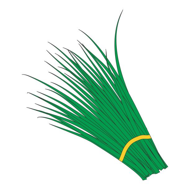 绿色韭菜蔬菜图片下载