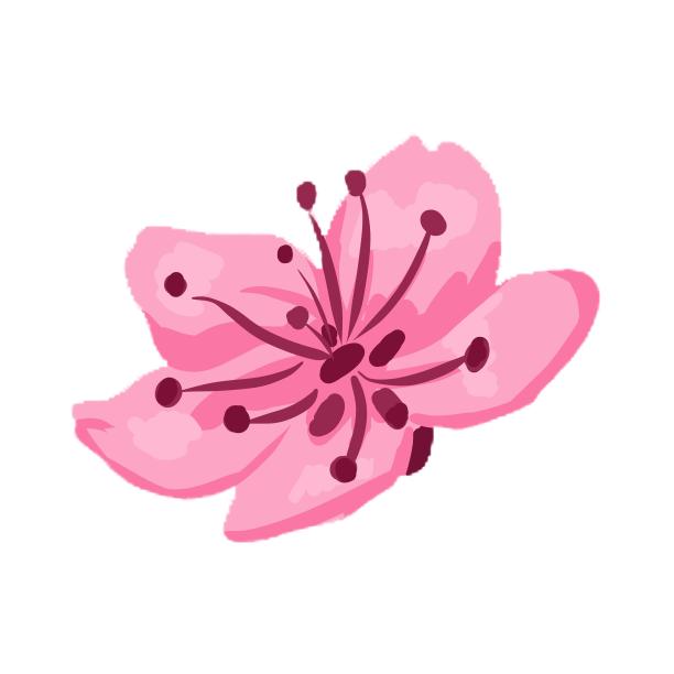 粉红色花朵元素图片下载