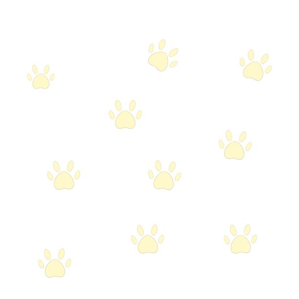 满屏的猫狗脚印图片下载