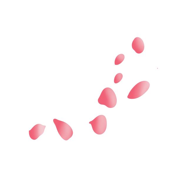 樱花花瓣唯美图片下载