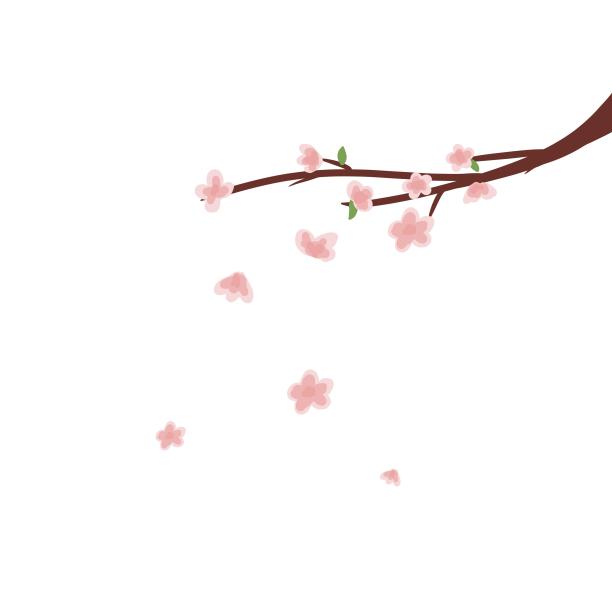 桃花枝飘落叶图片下载