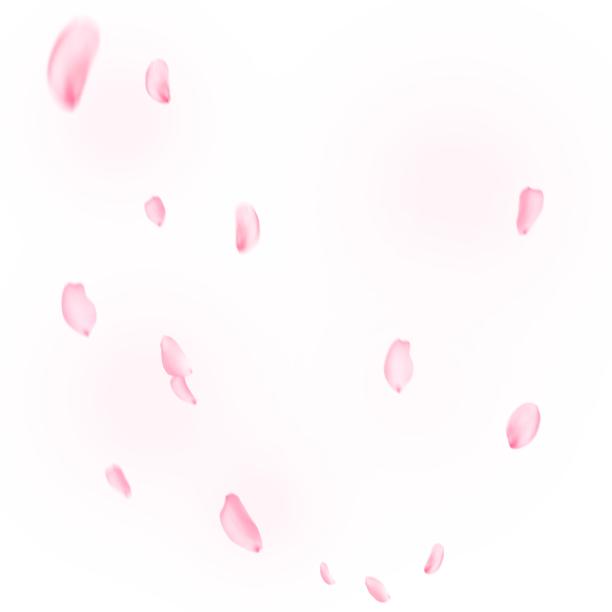 飘落的花瓣图片下载