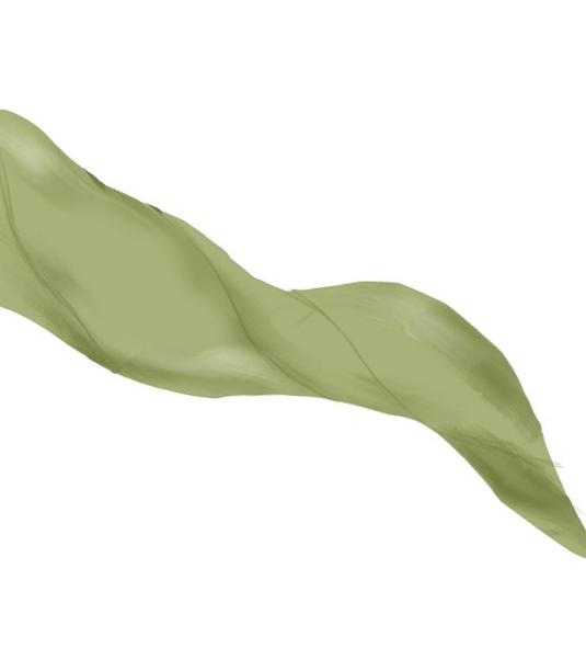 飞舞的绿丝绸图片下载