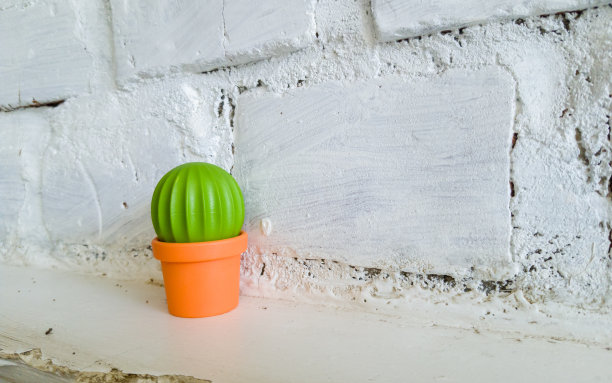 假塑料仙人掌装饰，白色砖墙背景图片下载