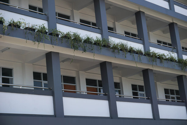 学校建筑的极简构图图片下载