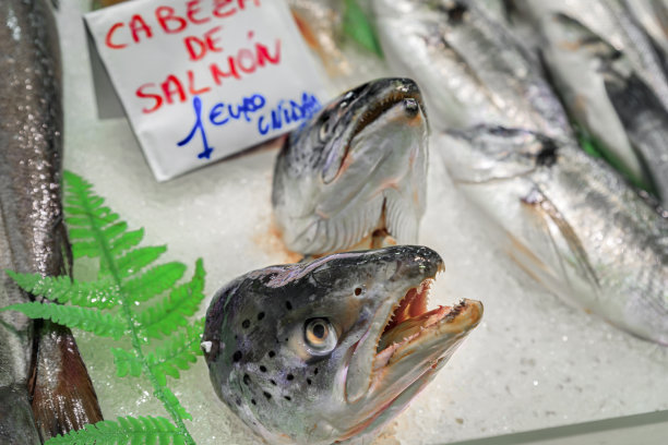 西班牙潘普洛纳市的一个鱼贩摊位上出售生鲑鱼头图片下载