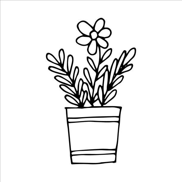 盆栽室内手绘植物图片下载