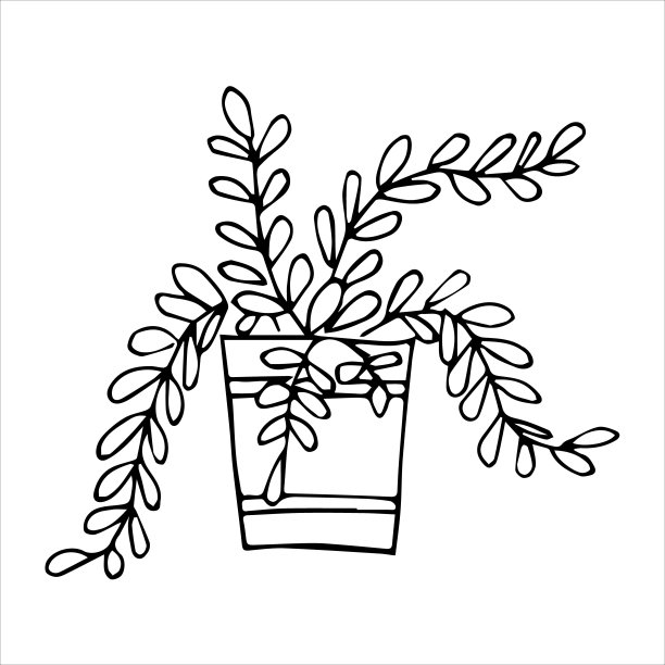 盆栽室内手绘植物图片下载