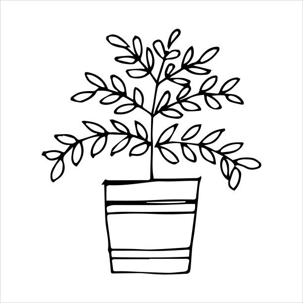 盆栽室内手绘植物图片下载