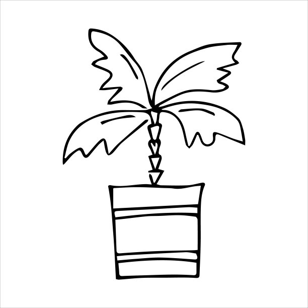 盆栽室内手绘植物图片下载