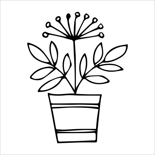 盆栽室内手绘植物图片下载