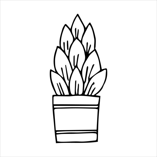 盆栽室内手绘植物图片下载