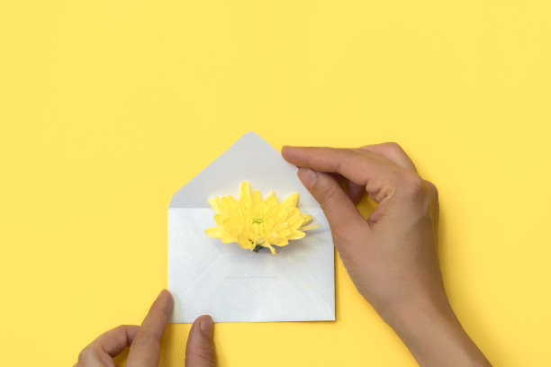 俯视图的妇女的手拿着一个白色开放信封与黄色的花。黄色背景，文本空间图片下载