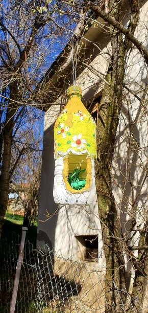 自制的鸟的房子图片下载