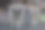 森林里一只浣熊的肖像图片下载
