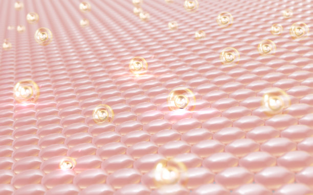 3D渲染表皮层微观结构。图片下载