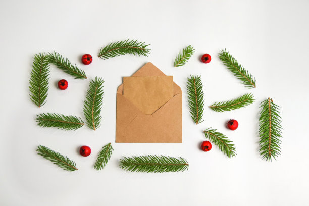 环保信封，给圣诞老人的信。杉枝或云杉枝的框架和红色浆果孤立在白色背景上。冷杉树分支。圣诞节的边界。模板的设计。贺卡图片下载