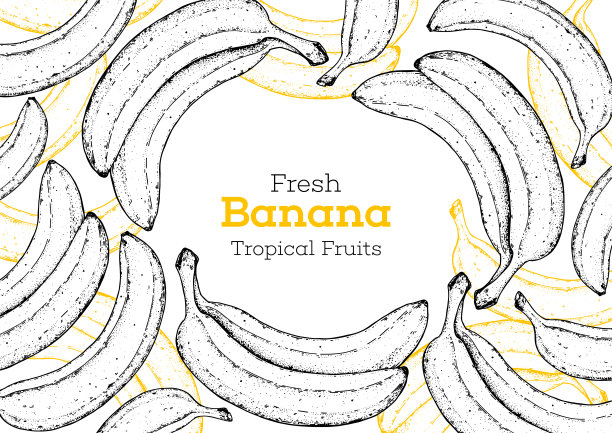 香蕉水果手绘框。素描风格。矢量插图。设计，包装，宣传册插图。手绘香蕉水果设计模板。有机新鲜食物矢量插图。图片下载