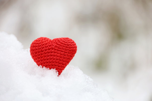 爱的心在冰雪的冬天的森林里图片下载