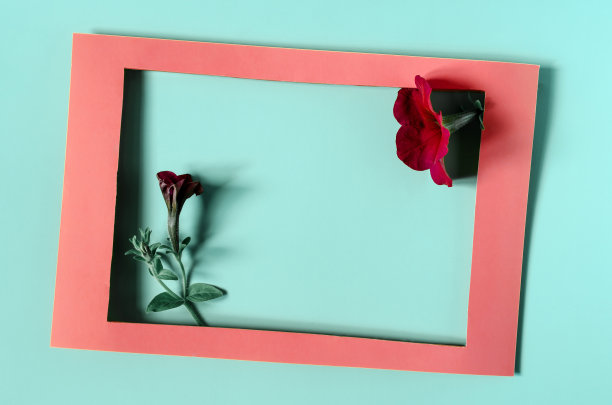 一个红色的纸板框架装饰着鲜红色的花朵和绿色的叶子在彩色的复制空间背景。图片下载