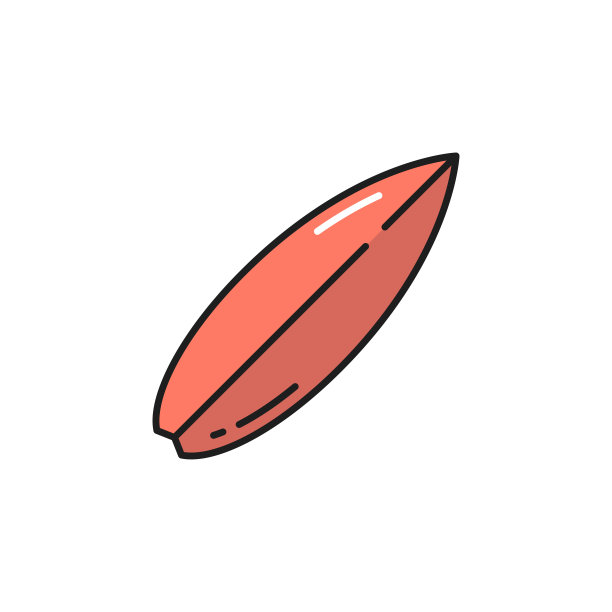 冲浪板、冲浪板、隔离板、长板、funboard图片下载