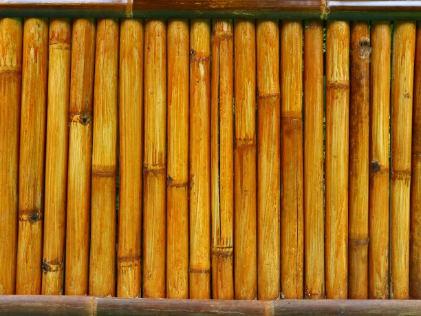 竹篱笆图片下载