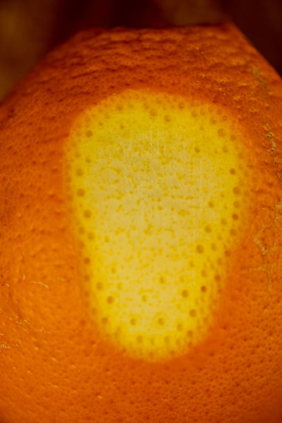 橙子皮被切掉的微距照片图片下载