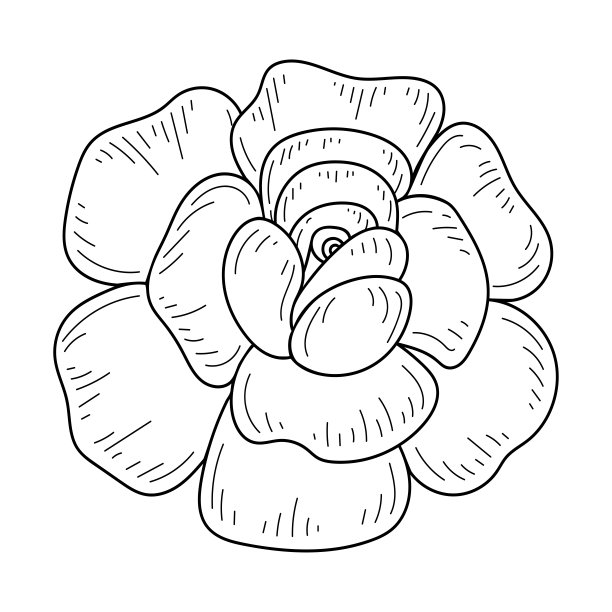 花牡丹玫瑰线条艺术。花园植物芽的美丽轮廓。手绘矢量插图。标志设计中的花卉元素图片下载