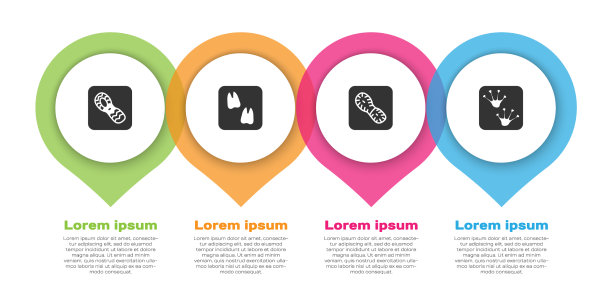 人的脚印，鞋，骆驼爪和青蛙图片下载