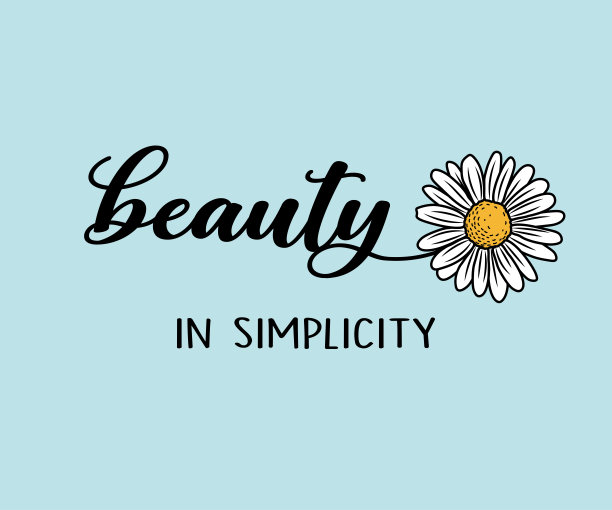 装饰标语与雏菊花插图，矢量设计的时尚和海报印刷图片下载