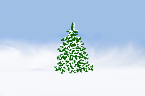 在蓝色天空的映衬下，一棵覆盖着松软雪花的圣诞树图片下载