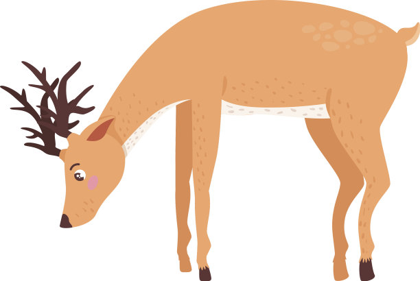 可爱的驯鹿吃图片下载