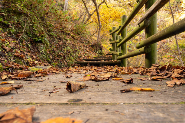 日本秩父山上的木栈道。图片下载