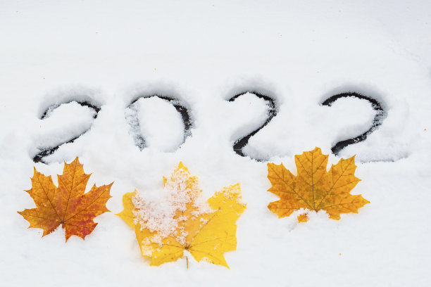 2022是用白雪写的下一个新年的数字。枣树下有三片黄色的加拿大枫叶。图片下载