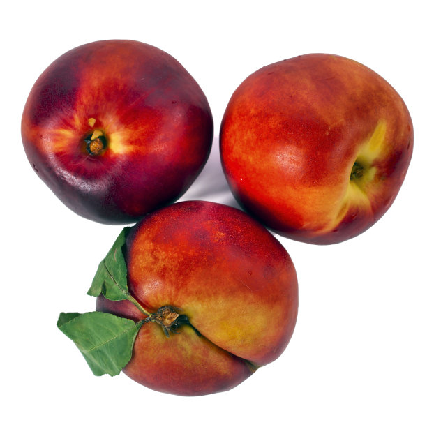 有叶子的油桃果实图片下载