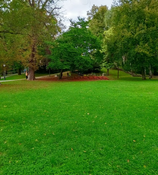 绿色生活图片下载